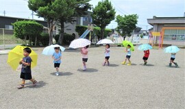 4歳児が傘をさして園庭を歩いているところ