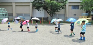 5歳児が傘をさして園庭を歩いているところ