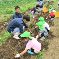 5歳児が掘っているところ