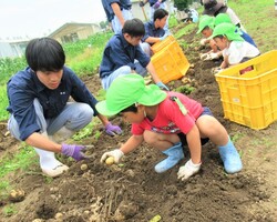 5歳児が掘っているところ
