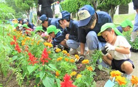 高校生と一緒に苗を植えているところ