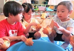 4歳児が玉ねぎの皮をむいているところ