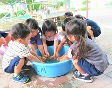 3歳児がじゃがいもを洗っているところ