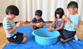 4歳児が玉ねぎの皮を剥いているところ