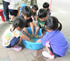 3歳児がじゃがいもを洗っているところ