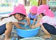3歳児がハンカチを洗濯しているところ