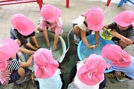3歳児がハンカチをすすいでいるところ