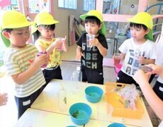 4歳児が色水あそびをしているところ
