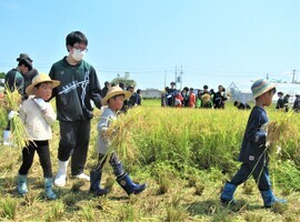 高校生と一緒に稲を運んでいるところ