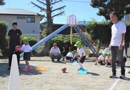 網でてんとう虫を運んでいるところ