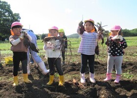 3歳児が掘ったいもを持って記念撮影