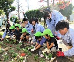 5歳児が花の苗を植えているところ