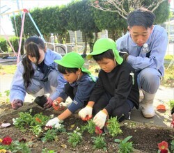 咲き終わった花をはさみで切っているところ