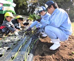 4歳児が苗を植えているところ