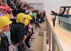 アシカショーを見ているところ