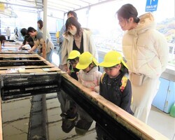 水槽のたこを見ているところ