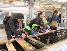 たこを触っているところ