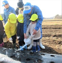 水やりをしているところ