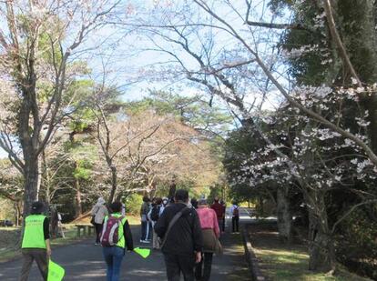 3月のウォーキング大会の様子