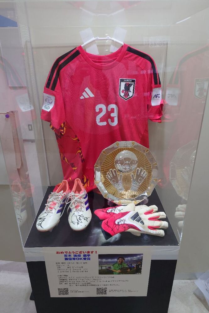 展示状況の写真