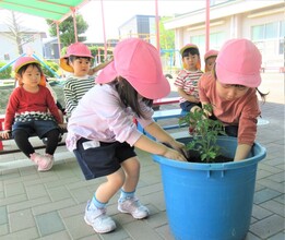 2人で植えているところ