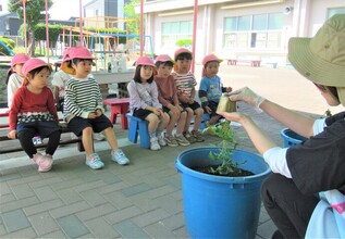 苗の植え方の話を聞いているところ