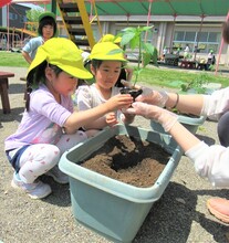 友達と一緒に苗を植えているところ