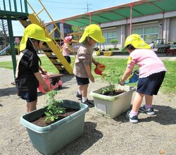 水やりをしているところ