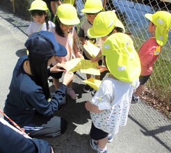 4歳児が金魚を見つけてシールをもらっているところ
