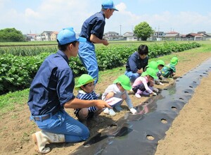 みんなで種蒔きをしているところ