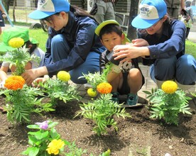 花を植えているところ