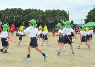 しっぽ取りをしているところ