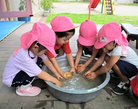 3歳児がじゃがいもを洗っているところ